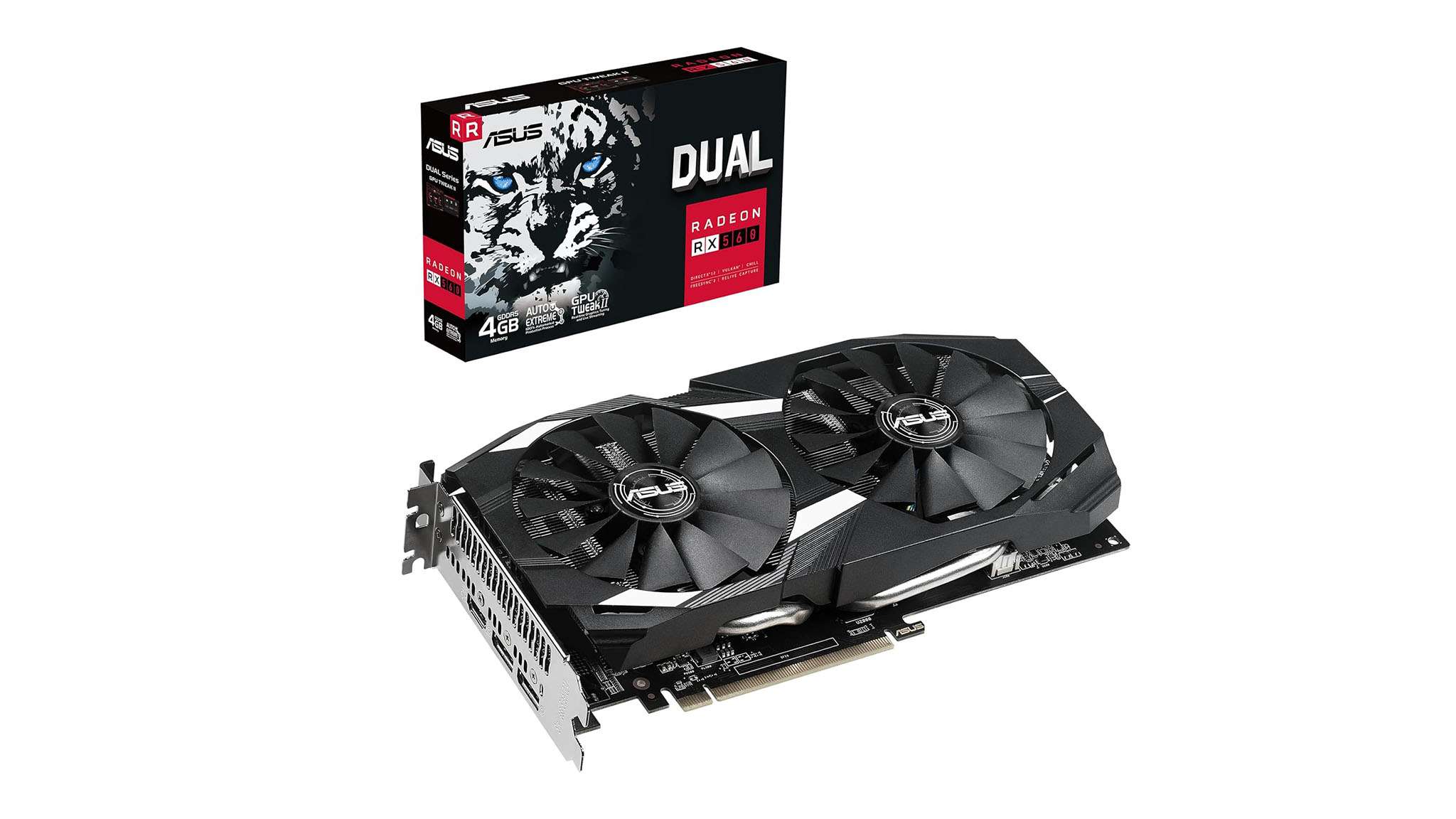 顽强的斗志 顽强的斗志